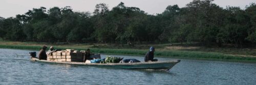 Curso de Actualización en Estudios Amazónicos II. Biodiversidad, Territorio e Historia. Una aproximación desde el paisaje